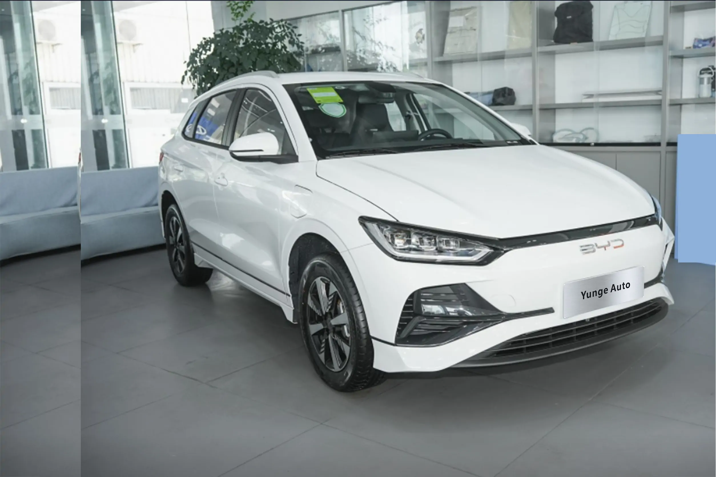 BYD e2 Honor Edition Luxury (Black Interior)
